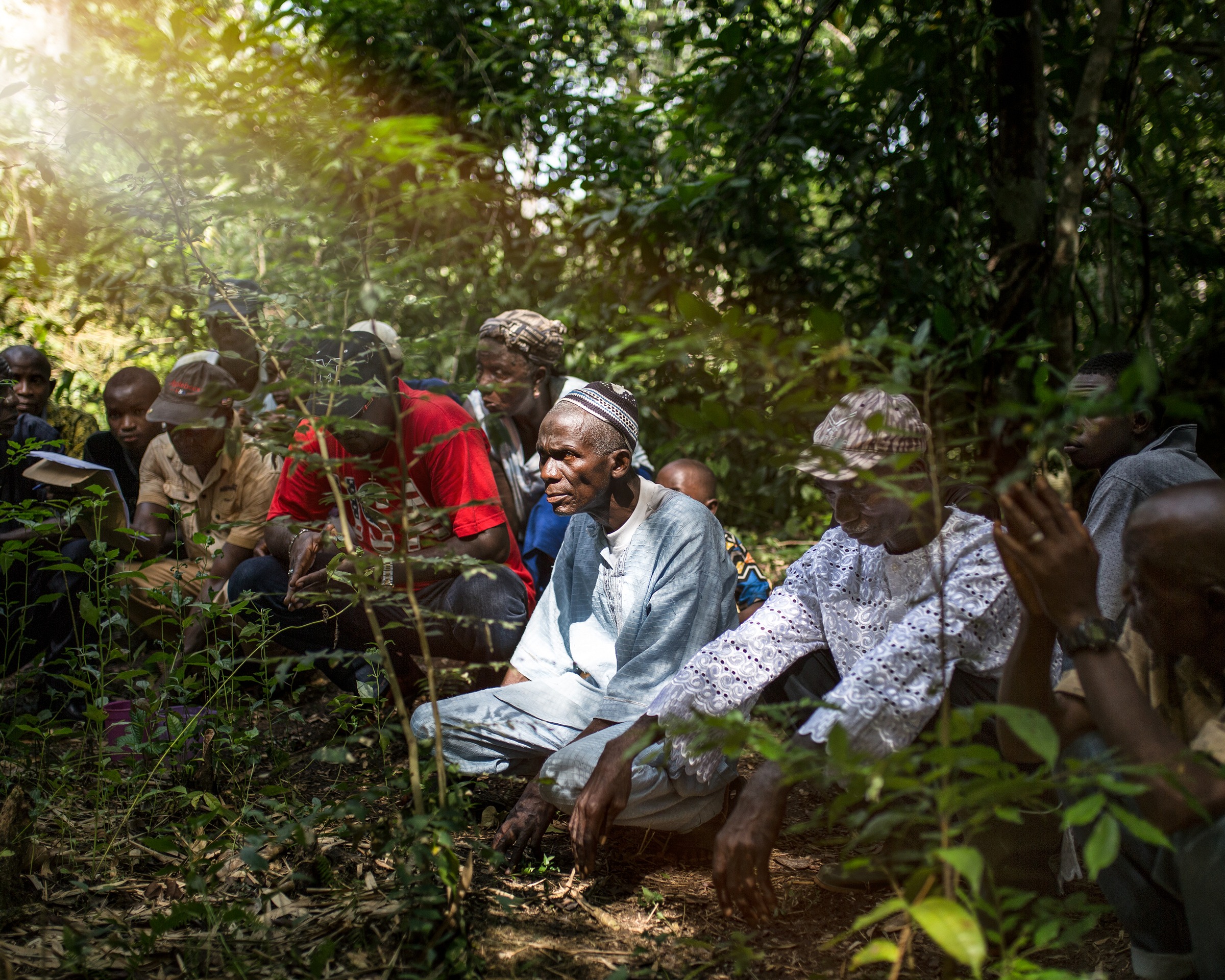 A community gathering of men in a forest clearing in Sierra Leone, elders seated centrally, listening intently