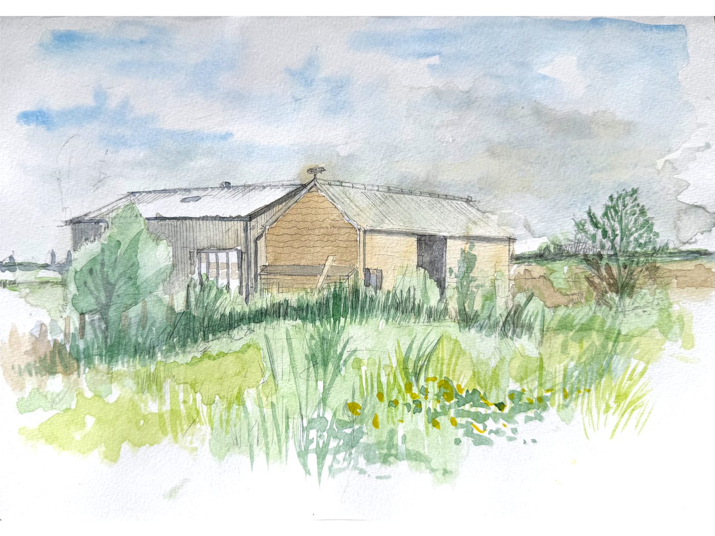 Albert & Dawn’s, Aylesbury — ink and watercolour drawing